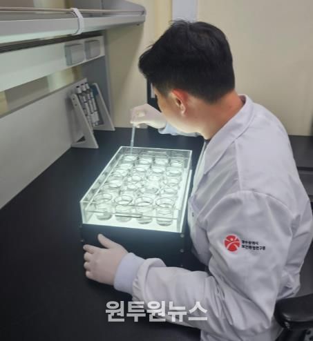 광주광역시 “주요 하천 수생태계 건강하다”