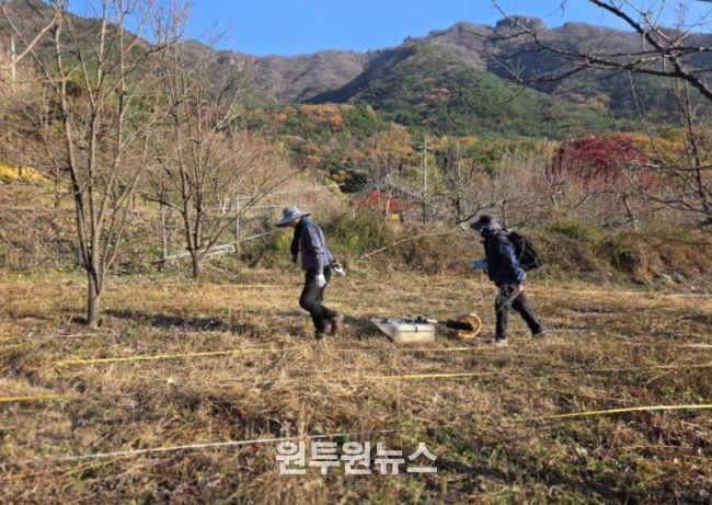 김천 갈항사지 GPR탐사 시범조사 모습 (2025년 11월)