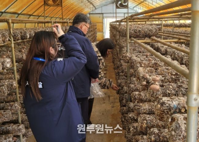 표고 생산농가 유통조사