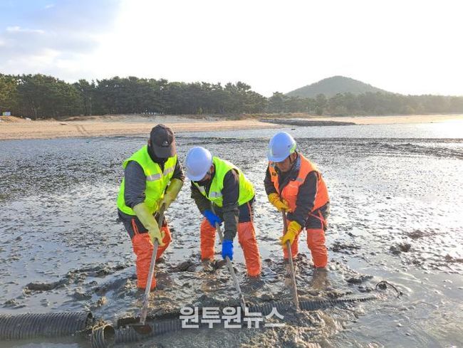 ‘패류 생산력 회복강화’ 인천 중구, 양식 어장 110ha 정화 사업 완료