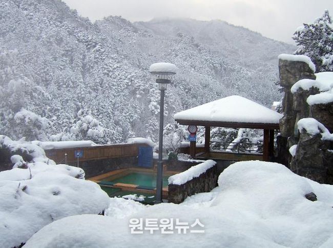 연말연시 온천·일출·미식 겨울 울진의 매력