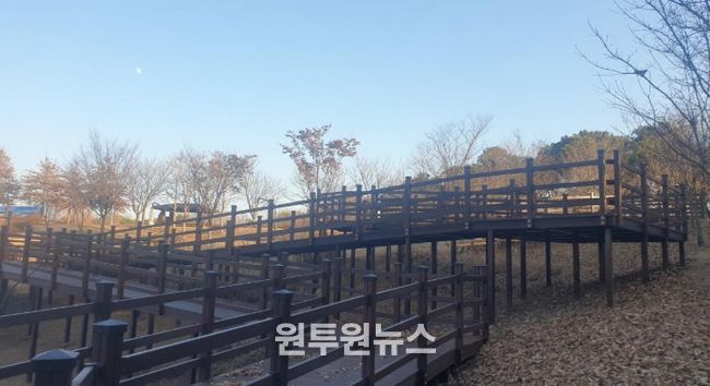 이천시, 진암공원 산림복지 도시숲 무장애 환경조성사업 준공