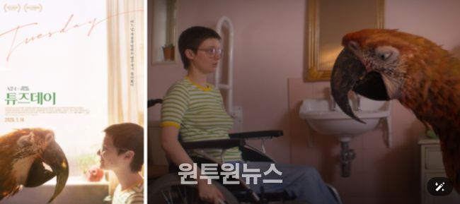 <튜즈데이> 포스터 & 스틸