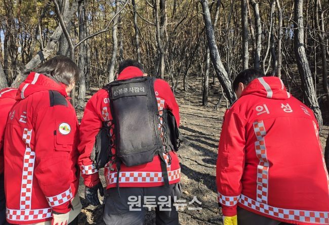 산불 원인 착수