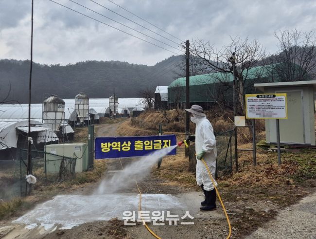 가금사육농가농장내외부소독