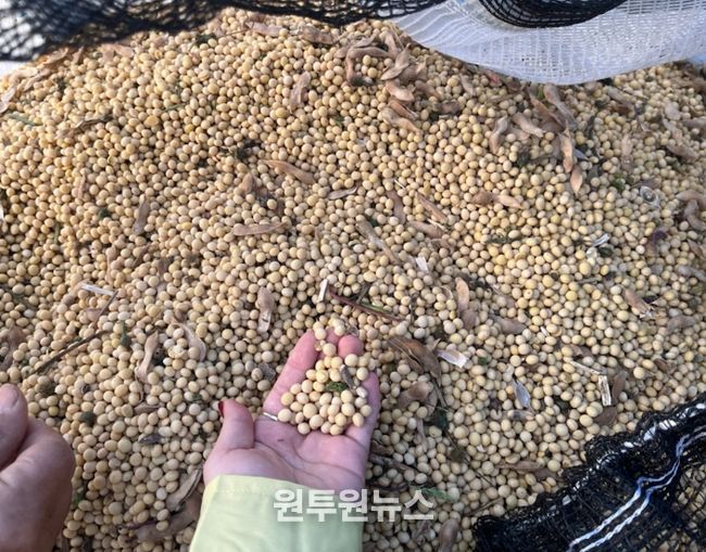 임실군 농업기술센터, 3. 17.까지 정부 보급종 신청