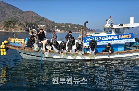 어린 대구 1천만 마리 방류