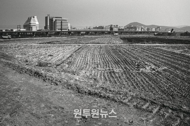 1995년도 고잔뜰 전경, 현재는 고잔신도시가 조성되어 아파트 단지로 변모했다.
