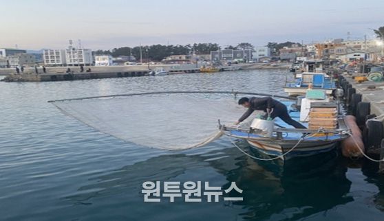 분기초망 그물 전개