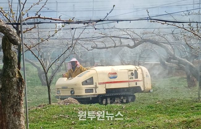 월동 병해충 방제, 올해는 서둘러야