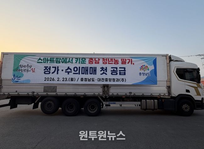 청년농 재배 딸기 1톤 정가·수의 매매 방식 시범 공급