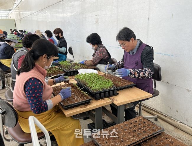 김돈곤 군수가 우량묘 가식현장을 점검하며 작업자들을 격려하고 있다.