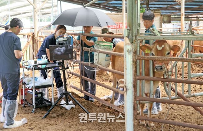 임실군, 저지종으로 임실N치즈 명품화 가속 페달