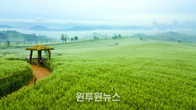 지역사랑 휴가지원_벚꽃축제