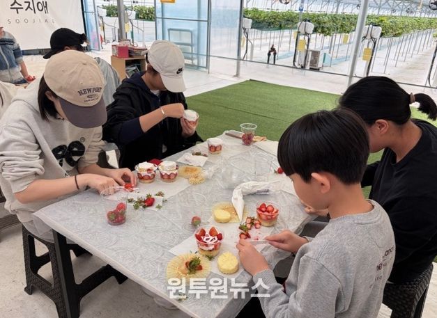 관내 청소년 30명 참여, 지역 농가 방문해 딸기 수확 및 요리체험