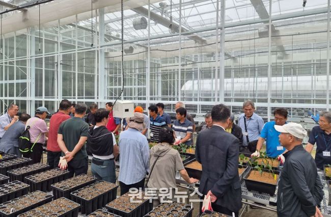 임산물 접·삽목 실습