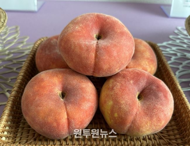 경북농업기술원, 복숭아 2가지 신품종 품종보호출원