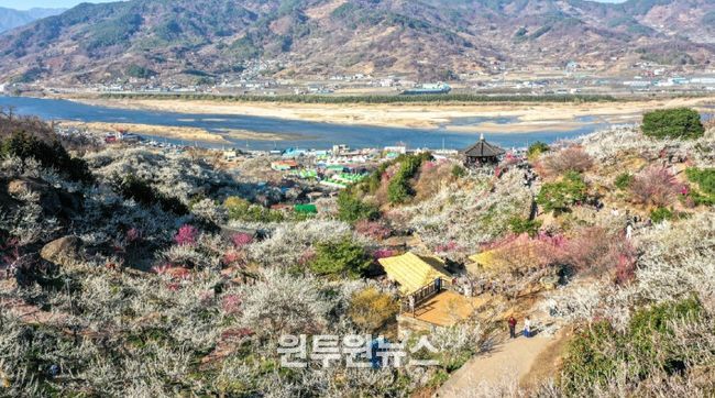 ‘한국관광 100선’ 광양매화마을 탐방 이벤트 운