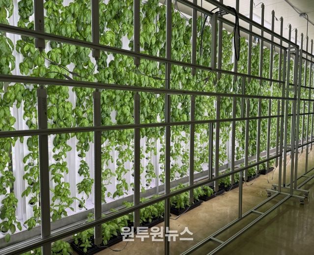 스마트팜 ‘대전팜’ 확대