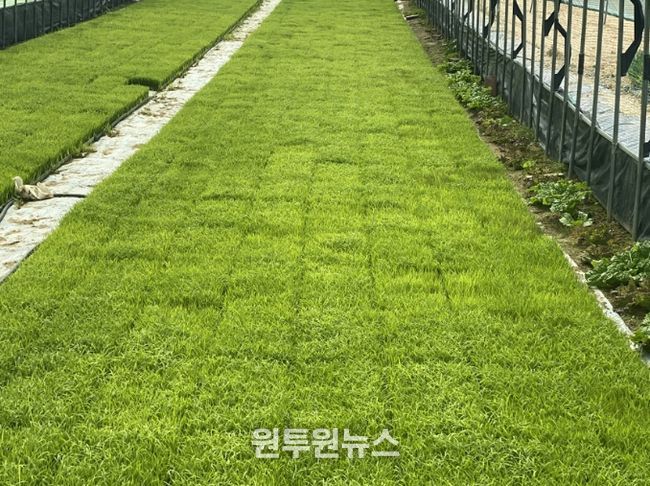 음성군, 벼 파종 전 종자 관리 꼼꼼히 챙기세요