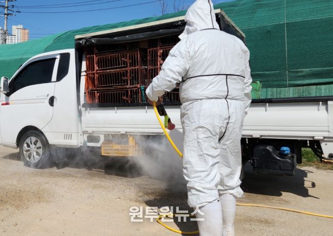 계류장 가축 운송 차량 소독