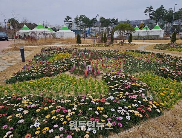 봄꽃 2만본 식재·음악벤치