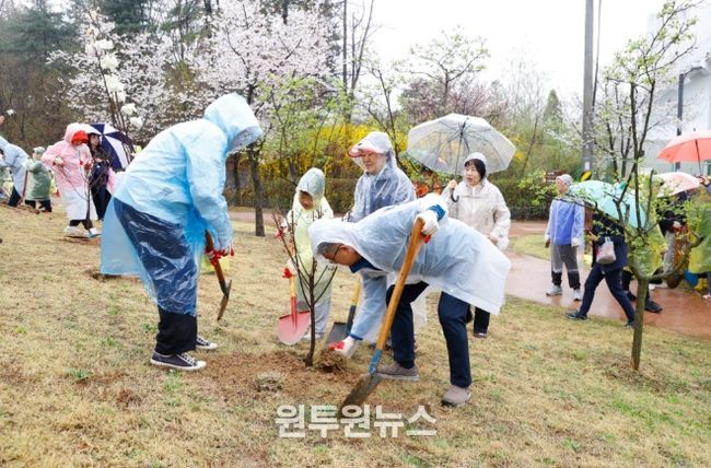 ‘금강소나무 식목행사’ 개최
