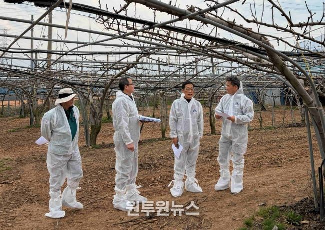 배 냉해 예방 현장점검