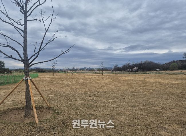 대산파크골프장 교육장 22홀 조성