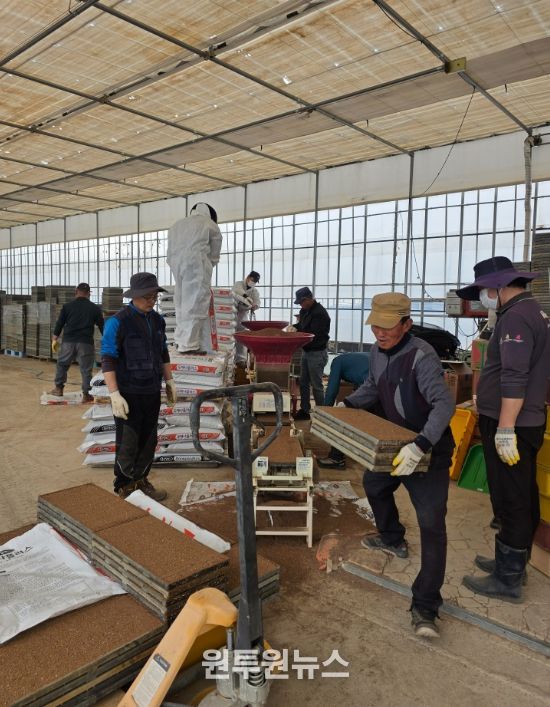 강릉시, 본격 벼 육묘작업 추진