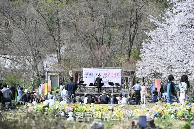동두천시, ‘사계의 시작, 벚꽃 음악회’ 성료
