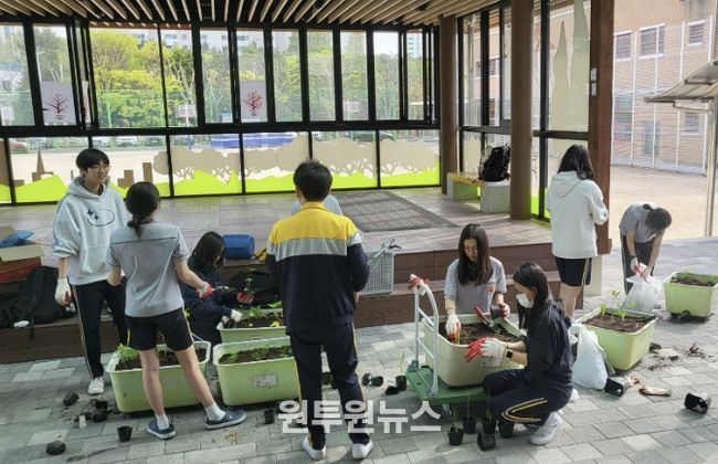 모종을 대형 화분에 옮겨 심는 학생들(화수중학교 생태환경동아리 활동)