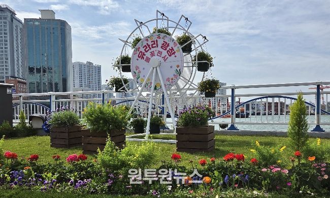 부산 중구, 유라리광장 봄꽃 전시 개최