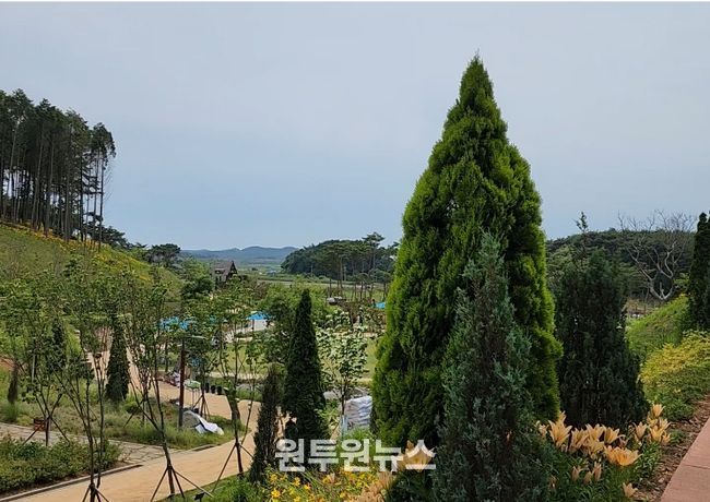 안면도 지방정원