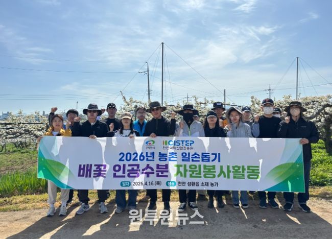 1. 천안과학산업진흥원이 16일 천안시 성환읍 일원에서 배꽃 인공수분 일손돕기 봉사를 진행하고 있다.